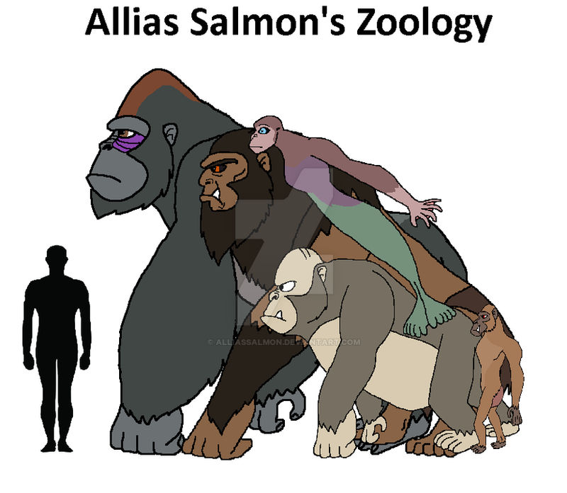 Primates Deviantart Base Allias Salmon's Zoology - Primates by alliassalmon on DeviantArt
