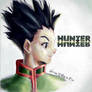 Gon - Hunterxhunter (color 3D final version)