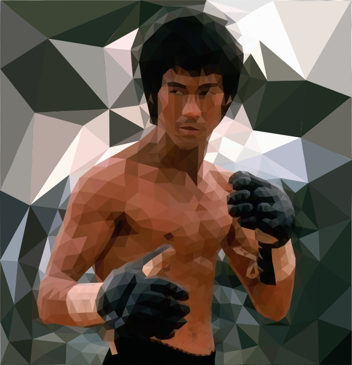 Bruce Lee Polygon art by hand