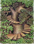 Tree of Life by graemeb