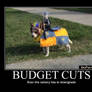 Budget cuts