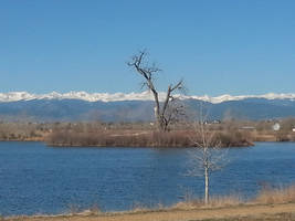 on the lake