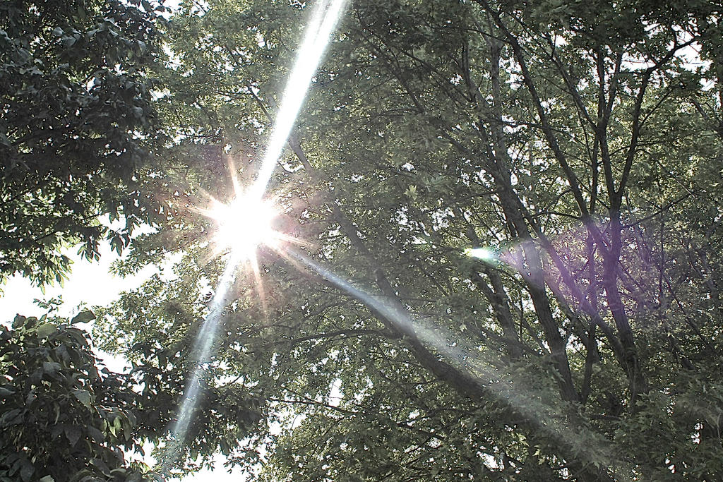 Sunb Rays Sun Rays by Shootlogicphoto on DeviantArt