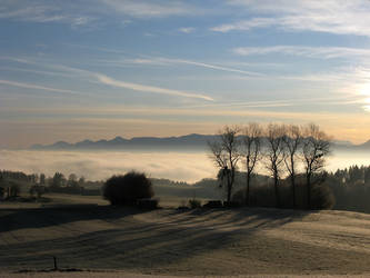 Frosty autumn morning II