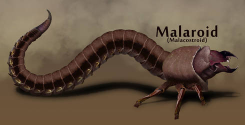 Malaroid