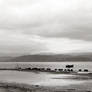 lago trasimeno