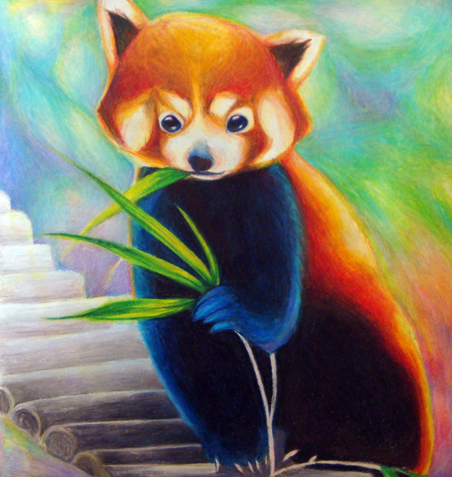 Red Panda