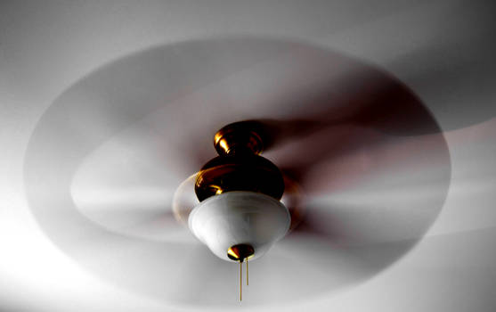 ceiling fan 3