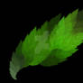Leafy Wings of Green