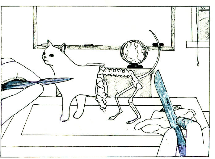 Dissection in High School by pungen on DeviantArt