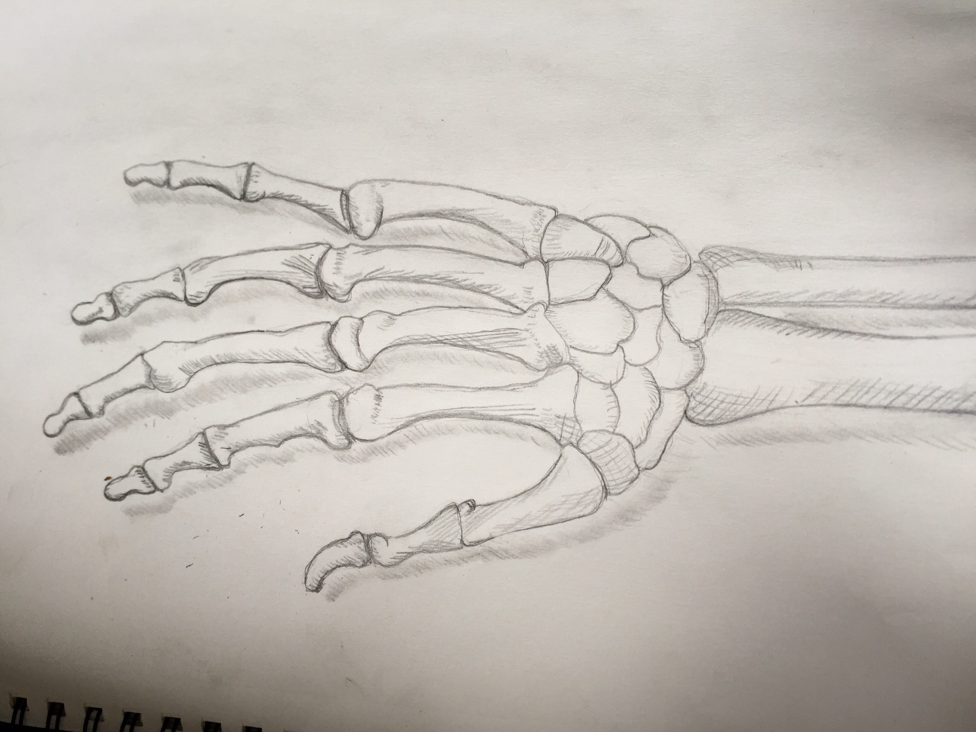 Skeleton Hand Drawing By Bioniquanne1 On Deviantart Skeleton Hand Drawing By Bioniquanne1 On Deviantart