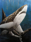 megalodon wallpaper by onipunisher on
