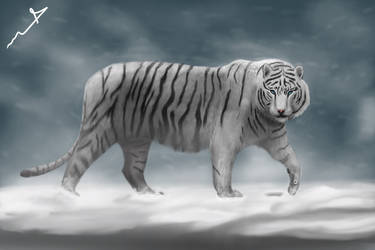 storm tiger by hamad5121