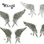 Wing tattoo designs