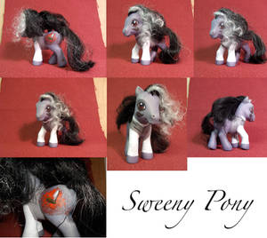 Sweeney Pony