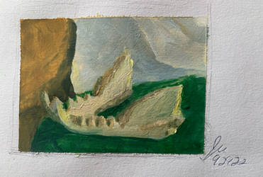 Feline Mandible in Gouache