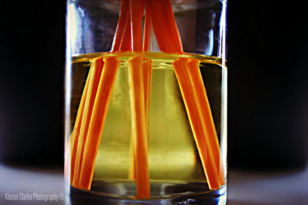 Defuser Drew The Reed Defuser by ImageWonder on DeviantArt