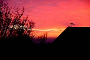 Silhouette Against Sunrise