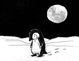 Lonely penguin no.1