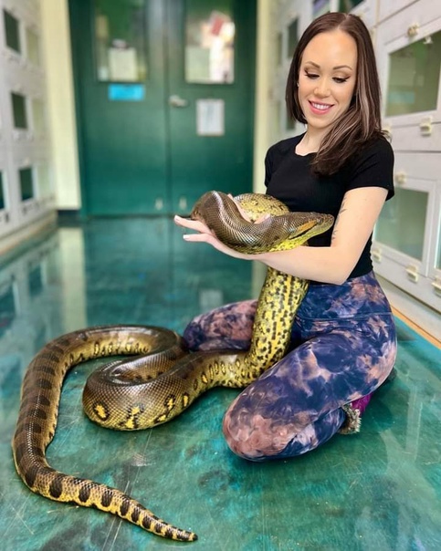 Ana1 by andyconda1 on DeviantArt