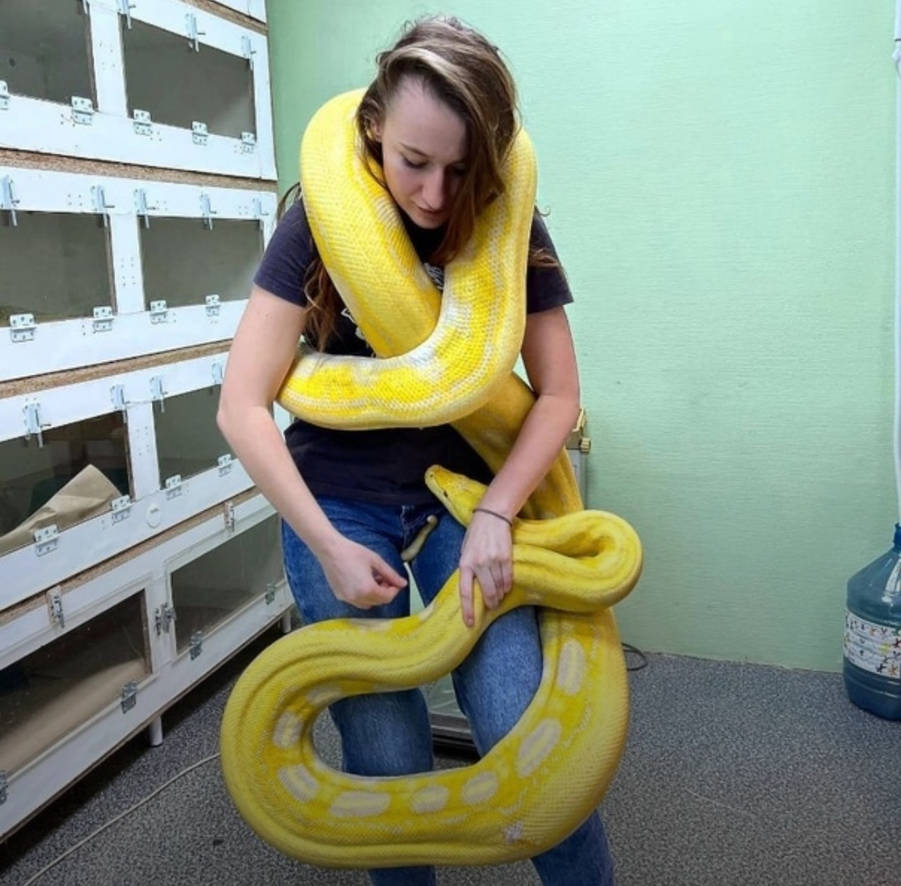 Pyt5 by andyconda1 on DeviantArt