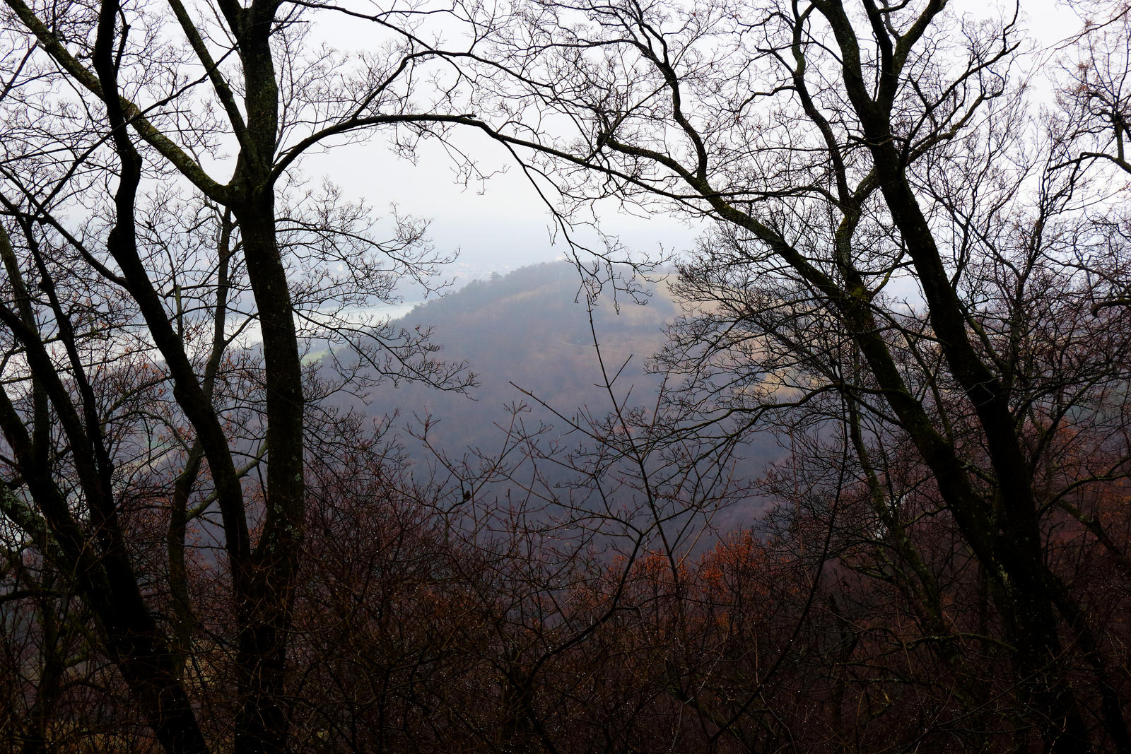 Mountain through the Gap