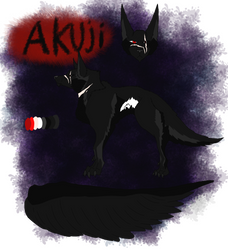 Akuji's reference sheet