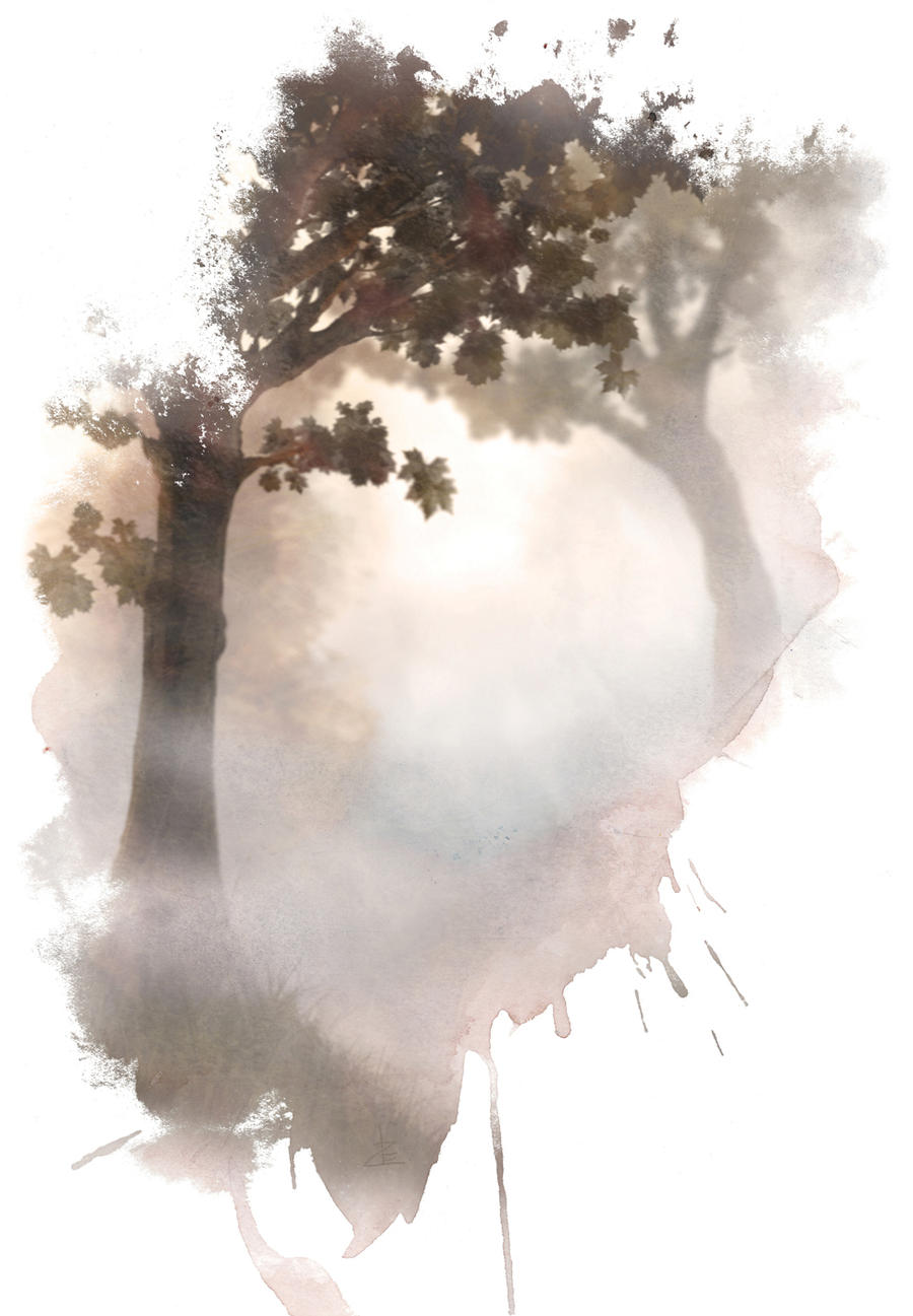 Autumn mist