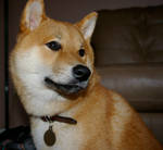 Allgrownupkeiko by Viewer-Discretion