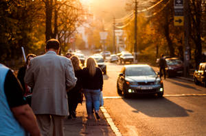 Evening Light by andreyivaniuk