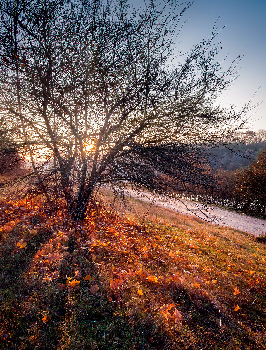 Forgotten Autumn View