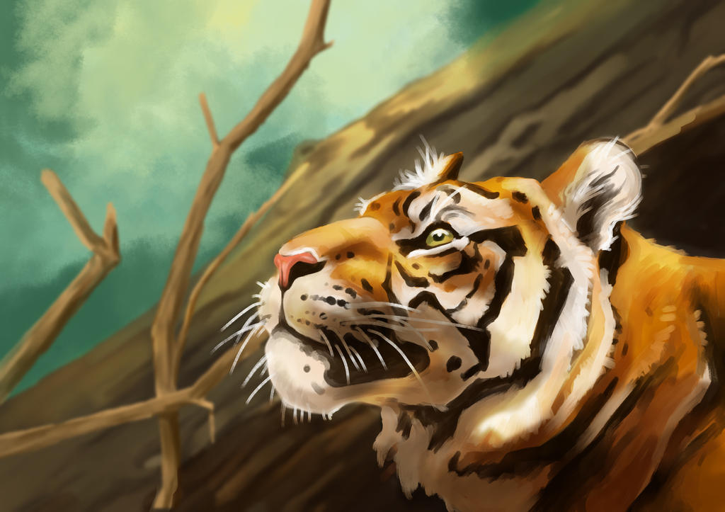 tiger by FairyOpossum on DeviantArt
