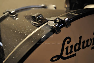 ludwig drum