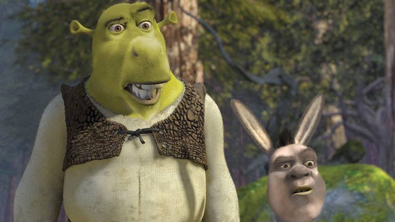 Confused Shrek reaction pic  Shrek, Funny reaction pictures, Confused  pictures