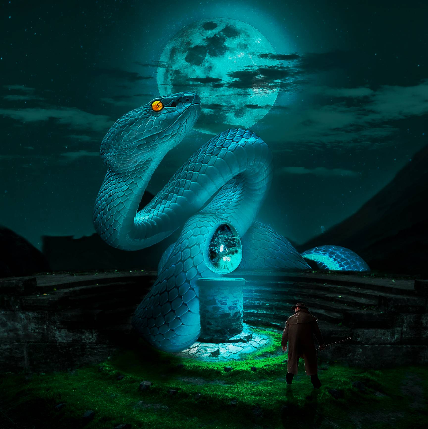 Python Transformation Deviantart Python Manipulation PicsArt Photo Editing by rednoxbd67 on DeviantArt