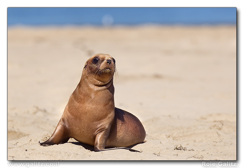 Teenager at the Beach