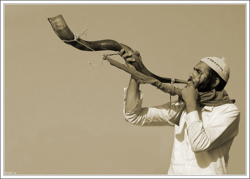 Shofar