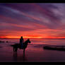Sunset Horseman
