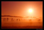 Misty Sunrise by RoieG