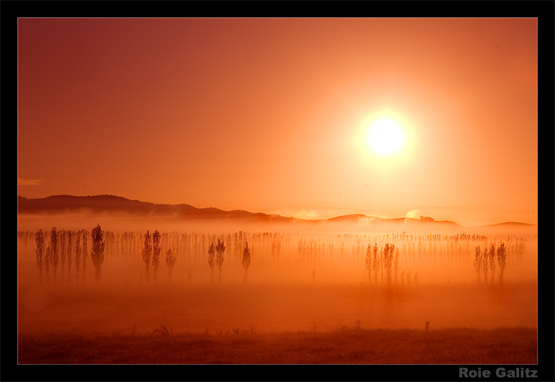 Misty Sunrise