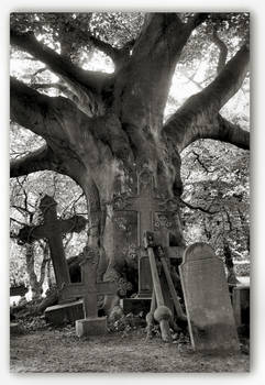 Old cemetery