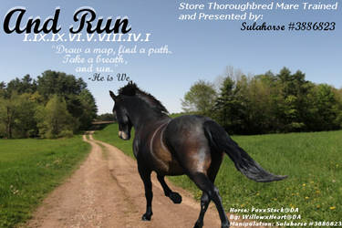 And Run... For Horseland Use