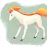 Ponyta Foal Sketch