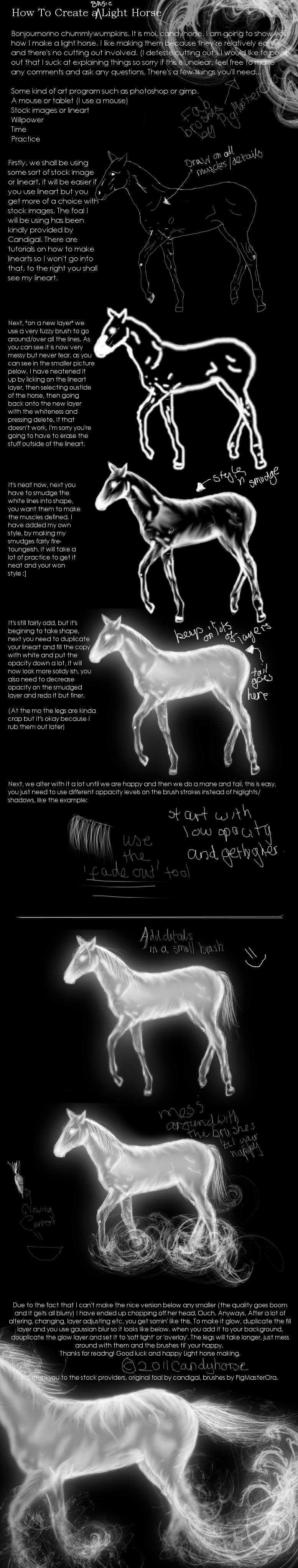 Light horse tutorial