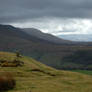 Black Mountains stock 2