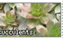 succulents stamp