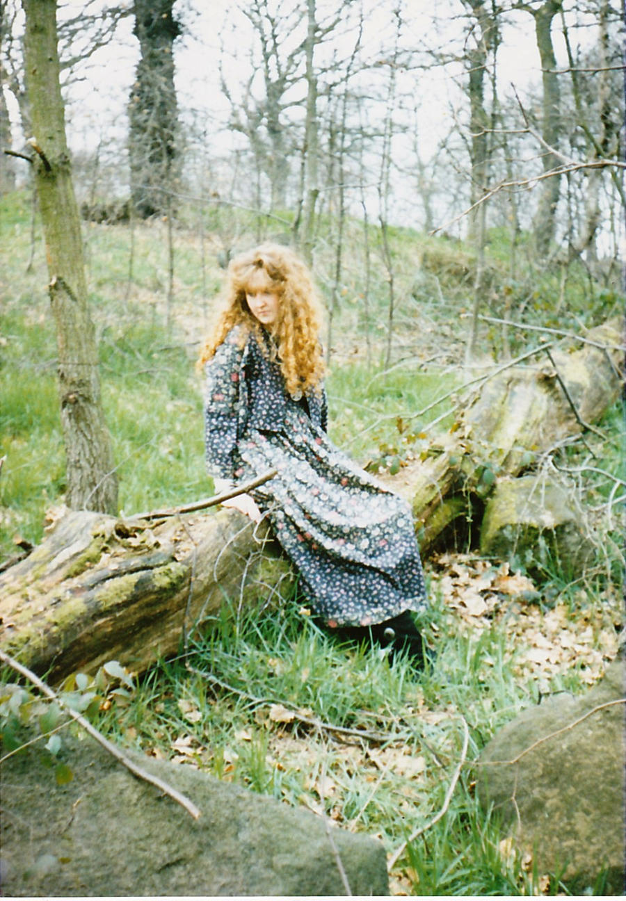 Songs From The Woods Iv By Poetic Aesthetic On Deviantart Songs From The Woods Iv By Poetic Aesthetic On Deviantart