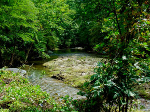 The flowing creek