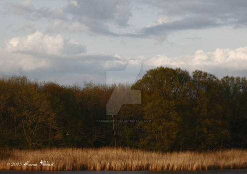 Clouds over the River II