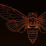 Cicada Lineart